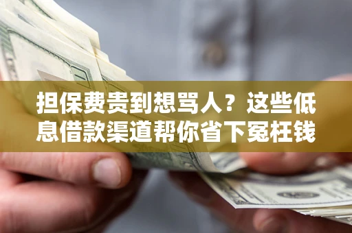 济南担保费贵到想骂人？这些低息借款渠道帮你省下冤枉钱