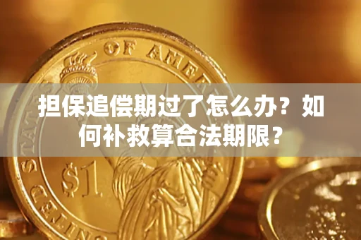 济南担保追偿期过了怎么办？如何补救算合法期限？