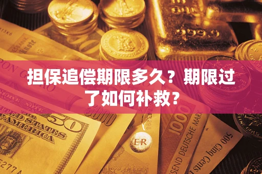 济南担保追偿期限多久？期限过了如何补救？