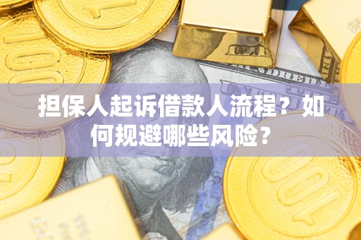 济南担保人起诉借款人流程？如何规避哪些风险？